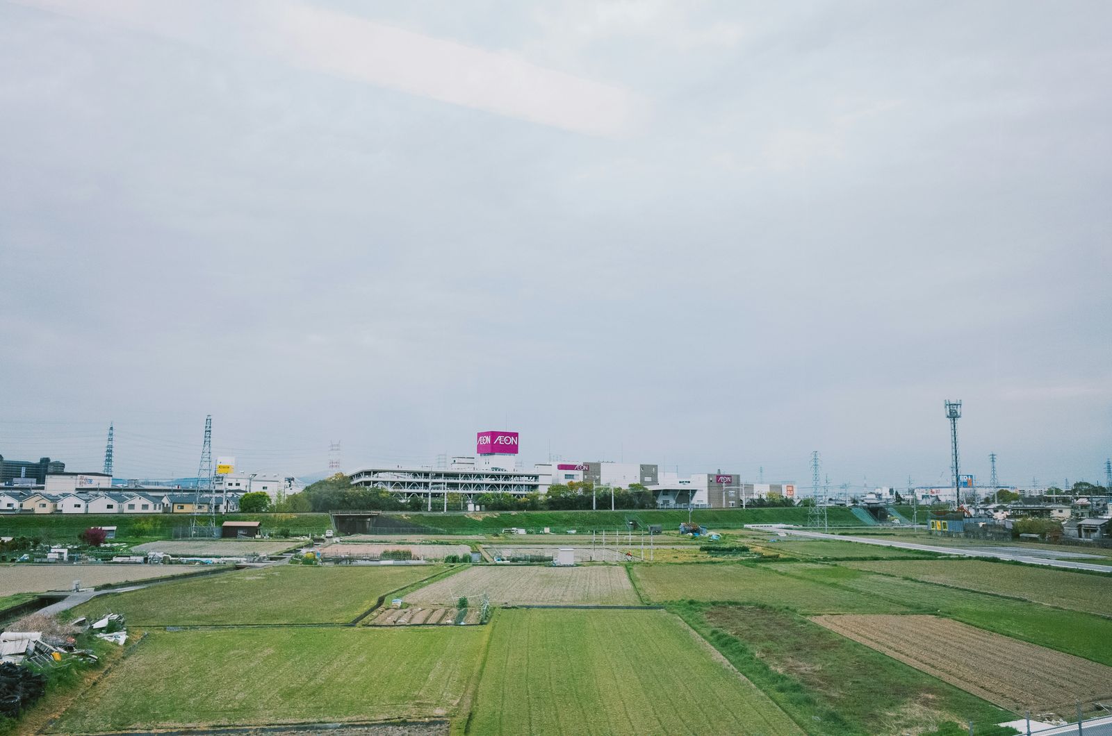 田んぼと町並みが広がる平野の風景