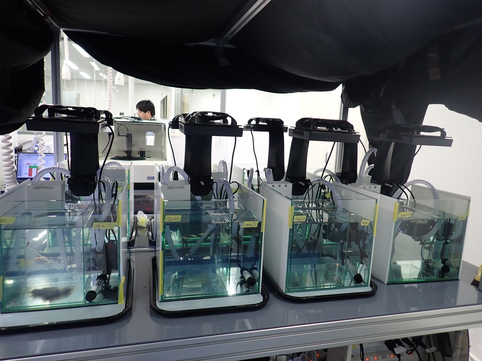 水槽実験の準備をする研究室